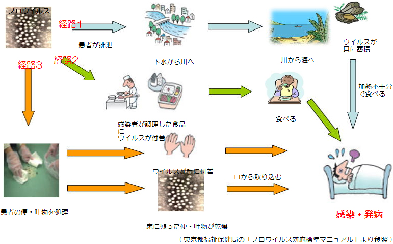 ノロウイルス感染症感染経路